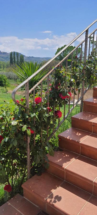 Casa Vacanze Cerreto 3 Miglianico Exterior photo